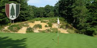 Image result for Amber Valley Gc