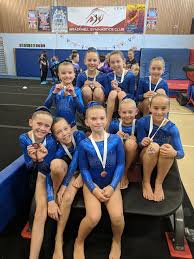 Image result for Pinewood Gymnastics Club