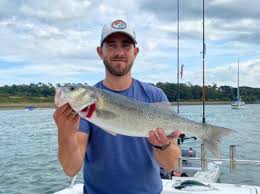 Image result for Bristol Channel Sea Fishing