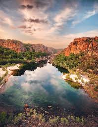 Billedresultat for kakadu n...