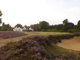 Image result for Hindhead Golf Club