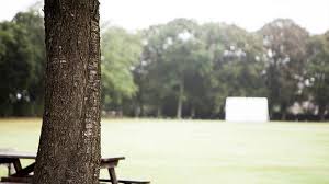 Image result for Southwick Cricket Club