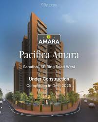 Attēlu rezultāti vaicājumam “Amara sp.”