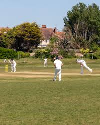 Image result for Bexhill Cricket Club