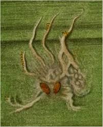 Attēlu rezultāti vaicājumam “Torrubiella arachnophila”