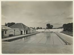 Image result for Teddington Swimming Club