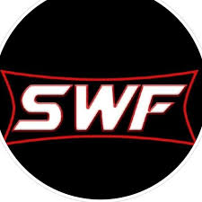 Image result for SWF
