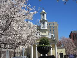 Image result for Peasedown-St-John Cc