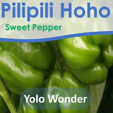 Afbeeldingsresultaat voor yolo wonder sweet pepper