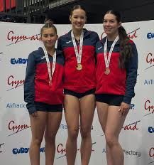 Image result for Edgbarrow Trampoline Club