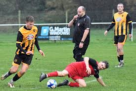 Image result for Verwood Town Netball Club