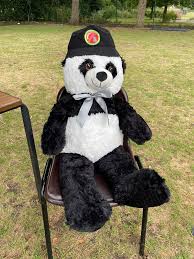 Image result for Horncastle Cricket Club