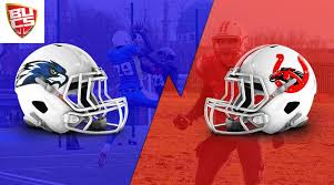 Image result for Staffordshire Stallions