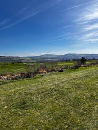 Image result for Pontardawe Rugby Football Club