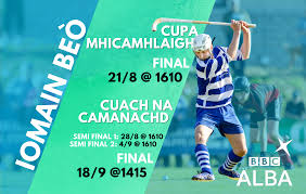 Image result for World of Shinty