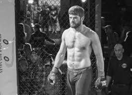 Image result for Wolverine MMA