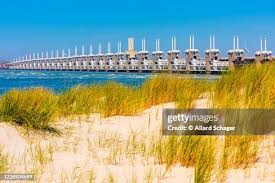 Image result for zeeland 1953