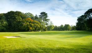 Image result for Aldwickbury Park Golf Club