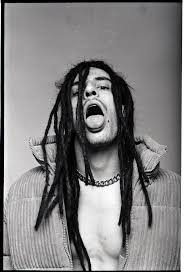 Image result for seotonie