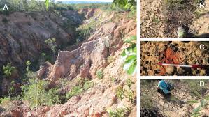 Image result for intemperismo