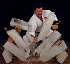 Image result for Seiki Juku Karate Club