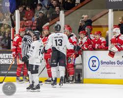 Image result for Swindon Panthers