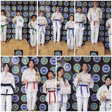 Image result for Dujon Tae Kwon Do