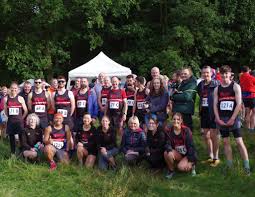 Image result for Abbey Runners