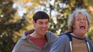 Image result for lulcatz