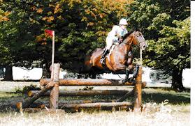 Image result for Ayr Riding Club