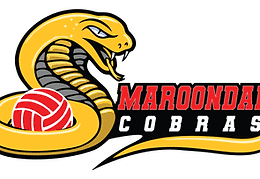 Image result for Cheltenham Cobras Volleyball Club