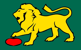 Image result for Heywood Sports Afc