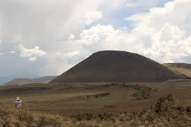 Attēlu rezultāti vaicājumam “Craterium sp.”