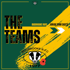 Image result for Farnborough Rfc Minis & Juniors