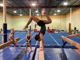 Image result for L&G Acrobatic Gymnastics Club