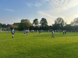 Image result for Epsom & Ewell Football Club