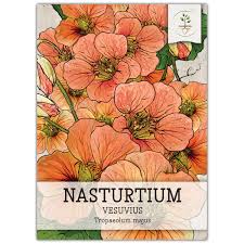 Attēlu rezultāti vaicājumam “Tropaeolum majus”