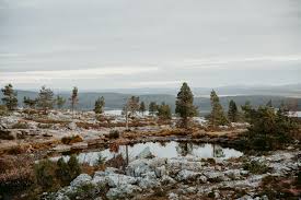 Image result for Laplandit-(Ce)