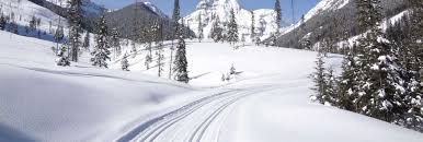 Image result for Inverness Nordic Ski Club