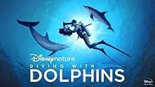 Image result for Durley Dolphin Diver