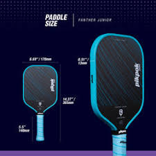 Image result for Pickley Green Panthers Junior Badminton Club