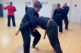 Image result for Aj Independent Martial Arts
