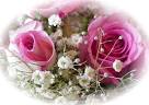 les fleurs