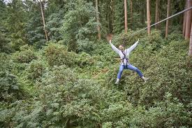 Image result for The Go Ape Experience (Swinley Forest)