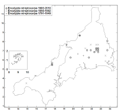 Attēlu rezultāti vaicājumam “Encalypta streptocarpa sporophyte”