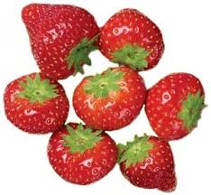 Attēlu rezultāti vaicājumam “Fragaria viridis fruit”