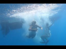 Image result for Looe Diving Club