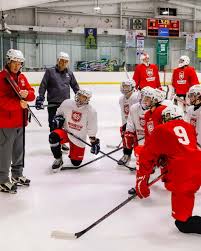 Image result for Norwich Dragons Hockey Club