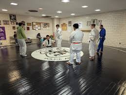 Image result for Redcar Judo Club, Cleveland