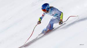 Attēlu rezultāti vaicājumam “Trichia alpina young”